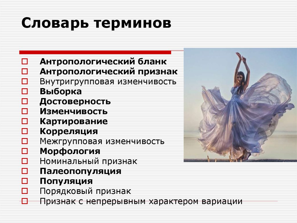 Новый словарь терминов