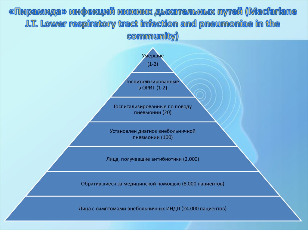 Организации пирамиды список. Пирамида инфекций. Список пирамид. Аналоговый хоррор пирамида список.