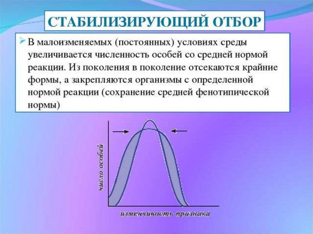 Естественный отбор картинки