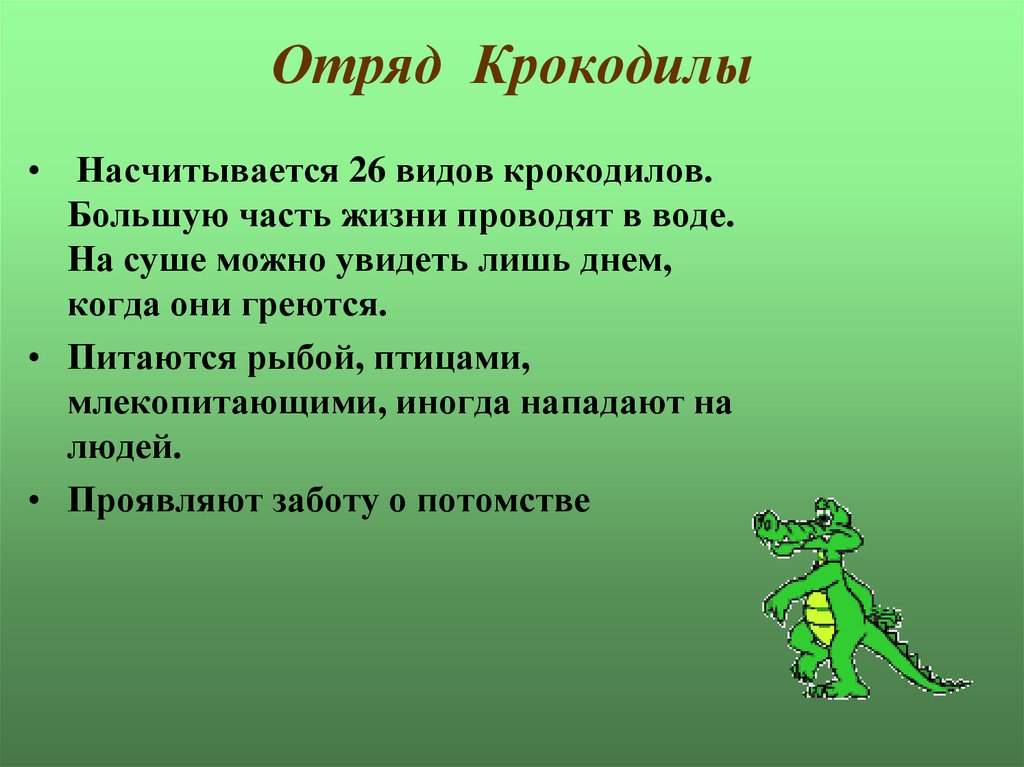 Как пишется крокодил. Отряд крокодилы общая характеристика. Хар - ка отряда крокодилы. Общая характеристика крокодилов. Характеристика крокодилов.