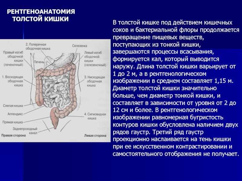 Где делают кия