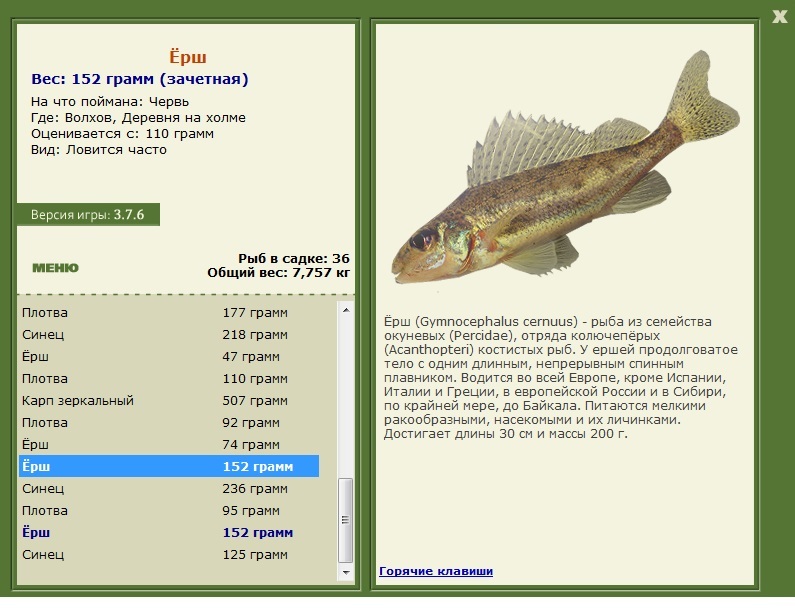 Вес рыбы. Ерш Размеры. Размер ерша по годам. Ерш по русски. Ерш Размеры и вес по возрасту.