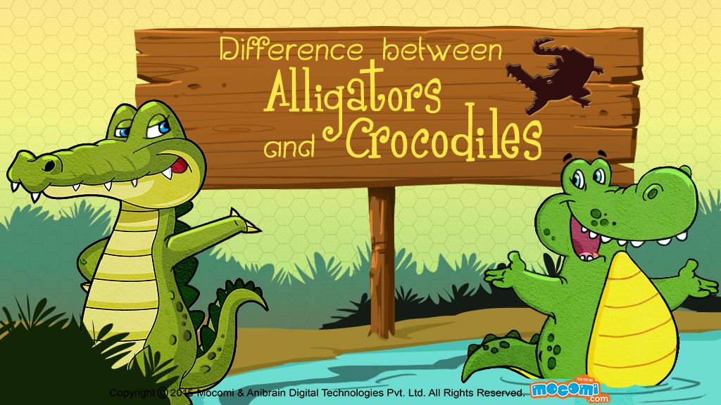 Игра крокодил на английском. Крокодил на английском. Про крокодила по английскому языку. Alligator and Crocodile difference. Сказочный крокодил по английскому языку.