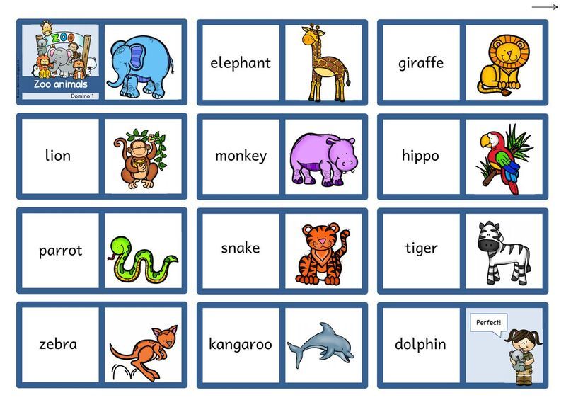 Английский язык животные игра. Карточки на английском для детей. Животные на английском для малышей. Английский для дошкольников. Игры на английском для детей.