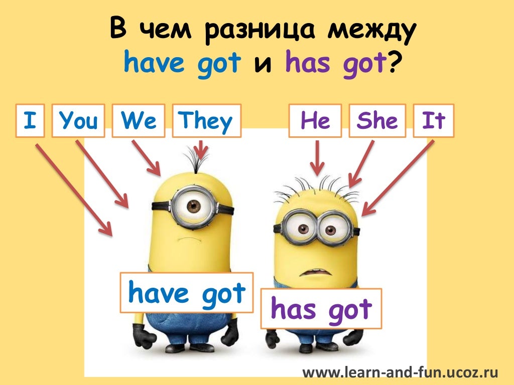 Иметь i. Разница между have и have got. Have has разница. Have got has got разница. Have got и has got правило для детей.