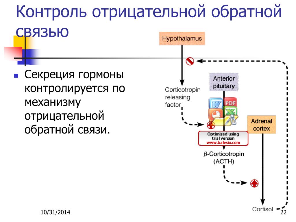 Отрицательная обратная связь