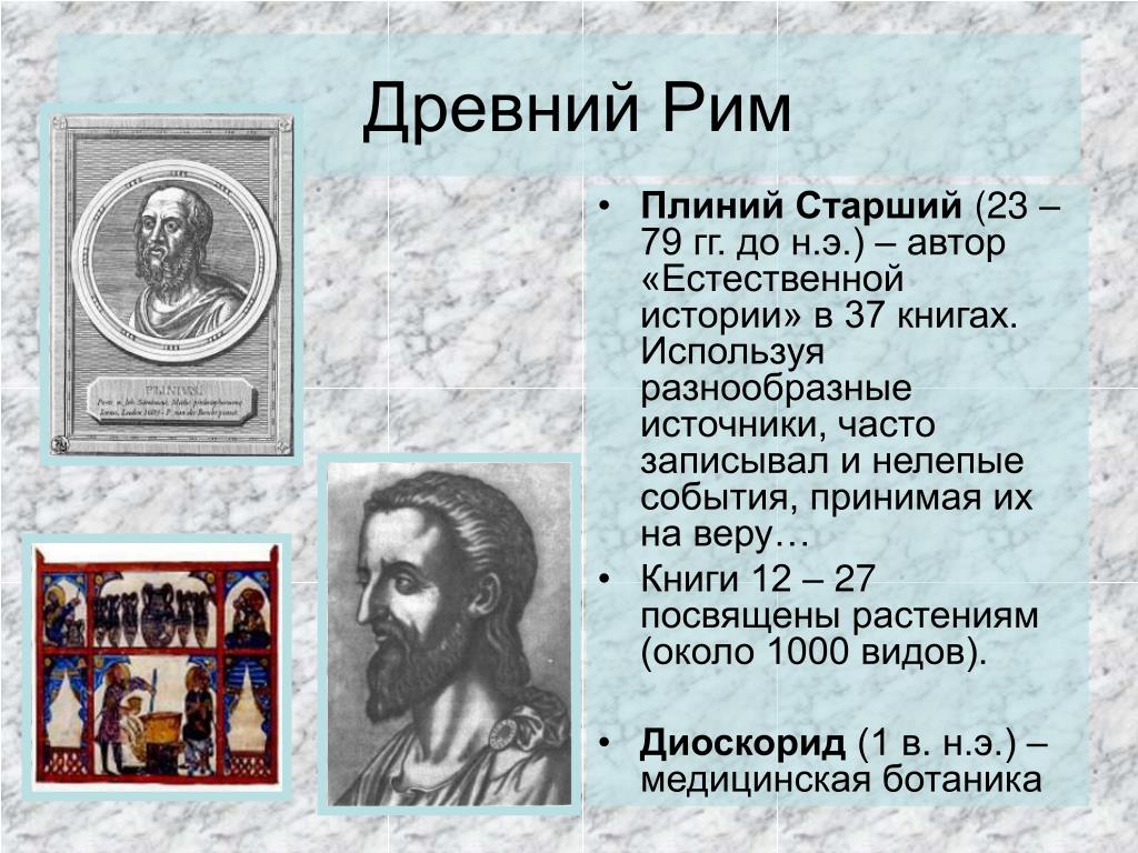 Естественная история книга. Плиний старший древний Рим.