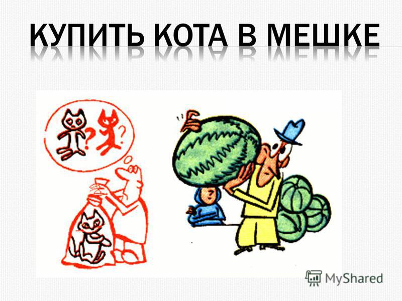 Фразеологизм кот в мешке