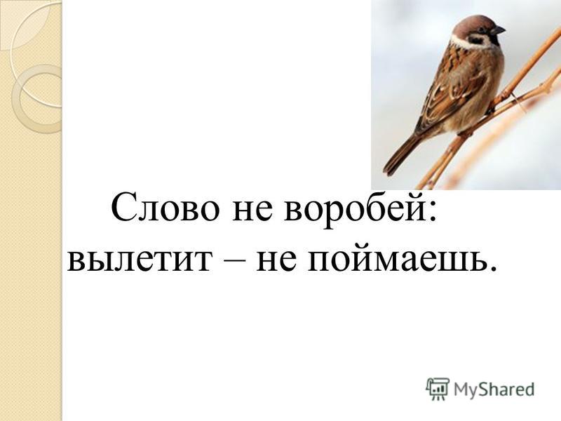 Воробей окончание. Слово не Воробей вылетит не поймаешь. Слово не Воробей. Слово на Воробей выылетитю. Пословица слово не Воробей вылетит не.