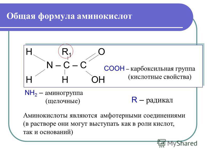 Общая ф