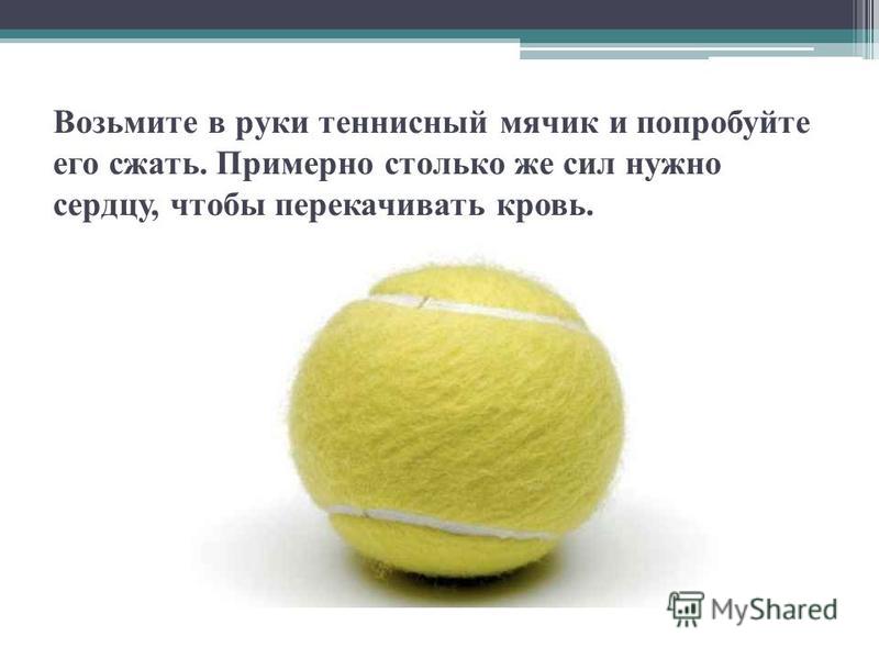 Теннисный мяч диаметр стандарт. Вес теннисного мяча. Интересные факты о теннисном мяче.