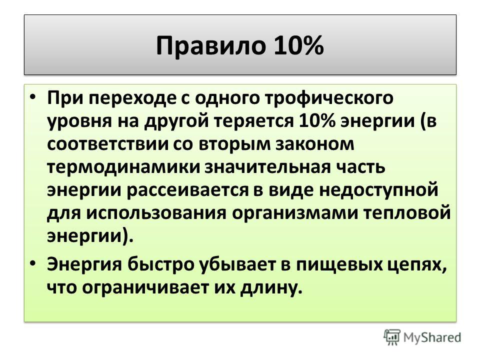 Регламент правило. При переходе с одного трофического уровня. Трофический уровень и другие. Что с энергией при переходе с трофического уровня. При переходе с одного трофического уровня на другой.