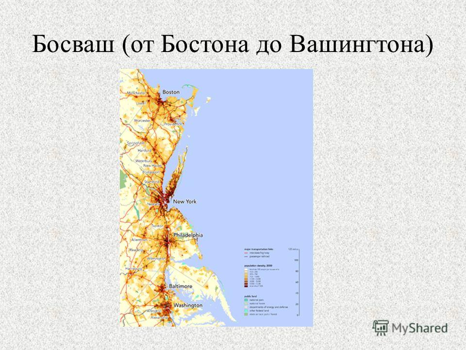 Босваш мегаполис