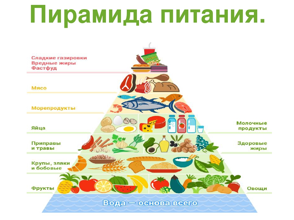 Обучение основам здорового питания сайт