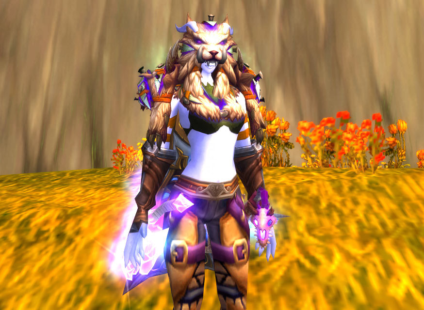 Энх шаман. Draenei Shaman Transmog. Шаман дреней 3.3.5. Паладин 3.3.5 дренейка. Дреней шаман трансмог.