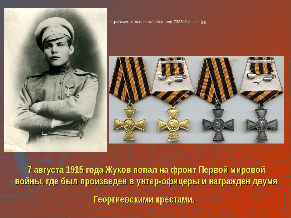Список награжденных георгиевском крестом. Георгиевские кресты награды Жукова.