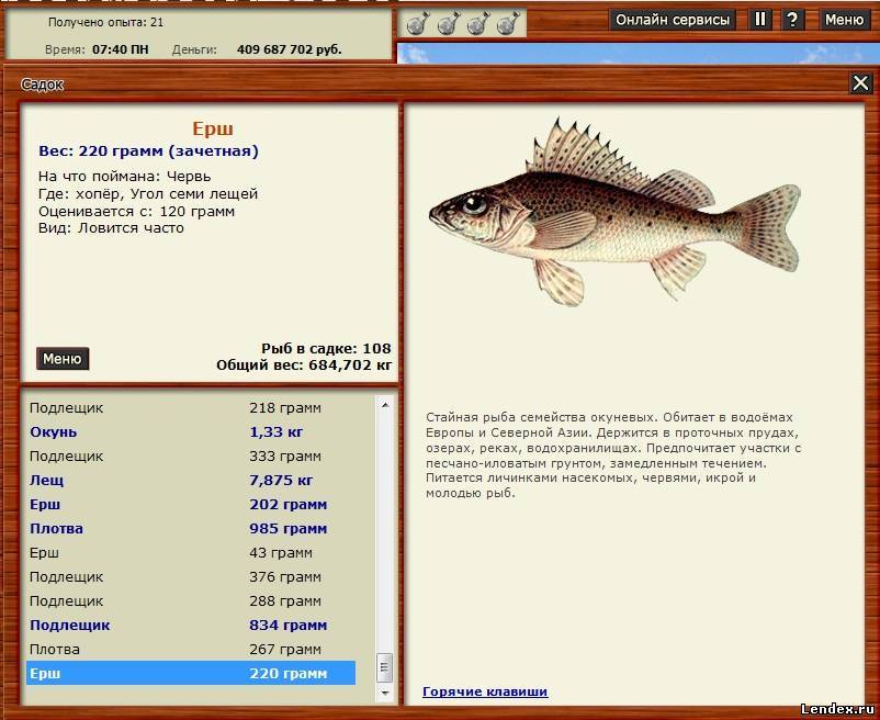 Перевести английский на русский fishing. Русская рыбалка 3 озеро Ерш. Максимальный размер ерша. Ерш вес. Ерш рыба вес.