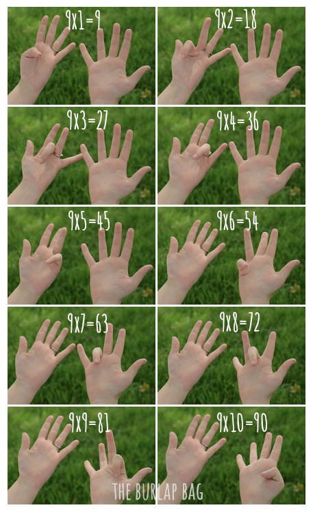 Все примеры умножения на 9 на пальцах.