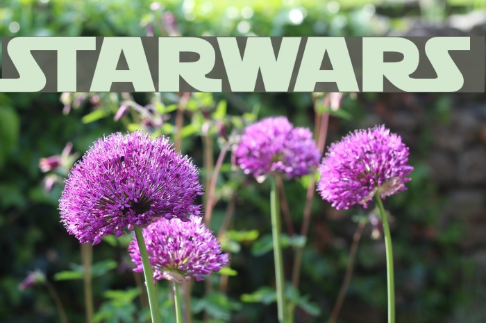 STARWARS Шрифта examples