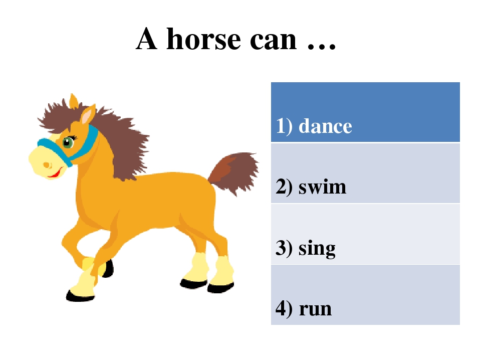 A horse can sing. Animals 2 класс. Карточка a Horse can. Английский язык 2 класс my animals. Презентация для детей по английскому языку животные класс.