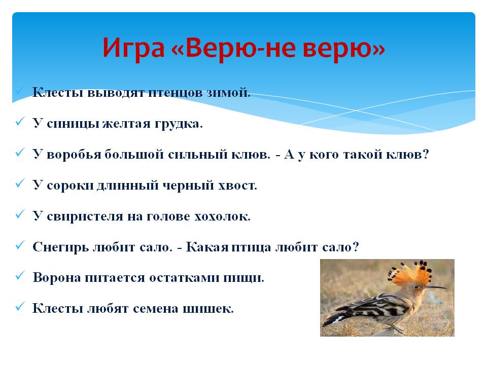 Поиграем в верю