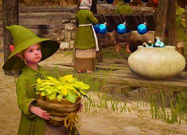 BDO Girl Carrying Weeds for Alchemy