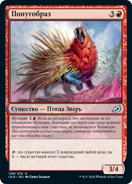 Попугобраз