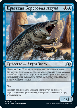 Прыткая Береговая Акула