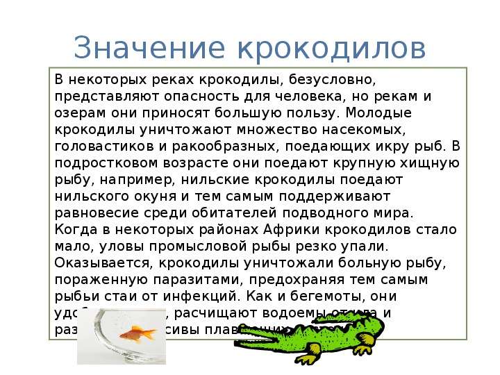 Как пишется крокодил. Значение крокодилов. Практическое значение крокодилов. Что символизирует крокодил. Значение крокодилов в природе и жизни человека.