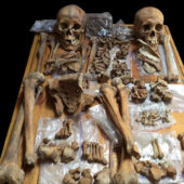 Женский (слева) и мужской скелеты кочевников сяньби сохранили следы скачки, стрельбы и ранений