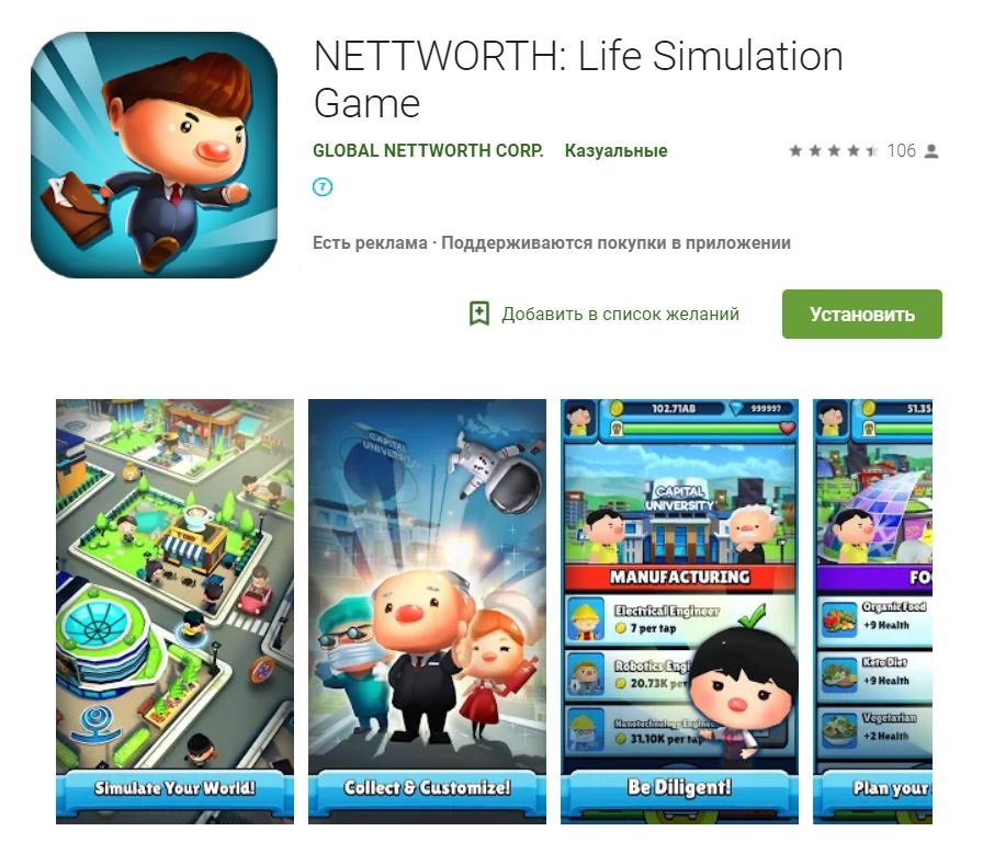 Nettworth life simulator 