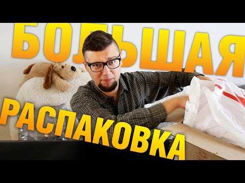 Игра зомби обезьяна настольная как играть